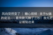 风向突然变了 ｜ 糖心视频 - 关于tv端的说法——看完我沉默了三秒！我先把证据贴出来