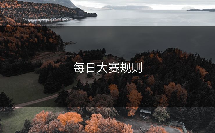 每日大赛规则 每日大赛规则